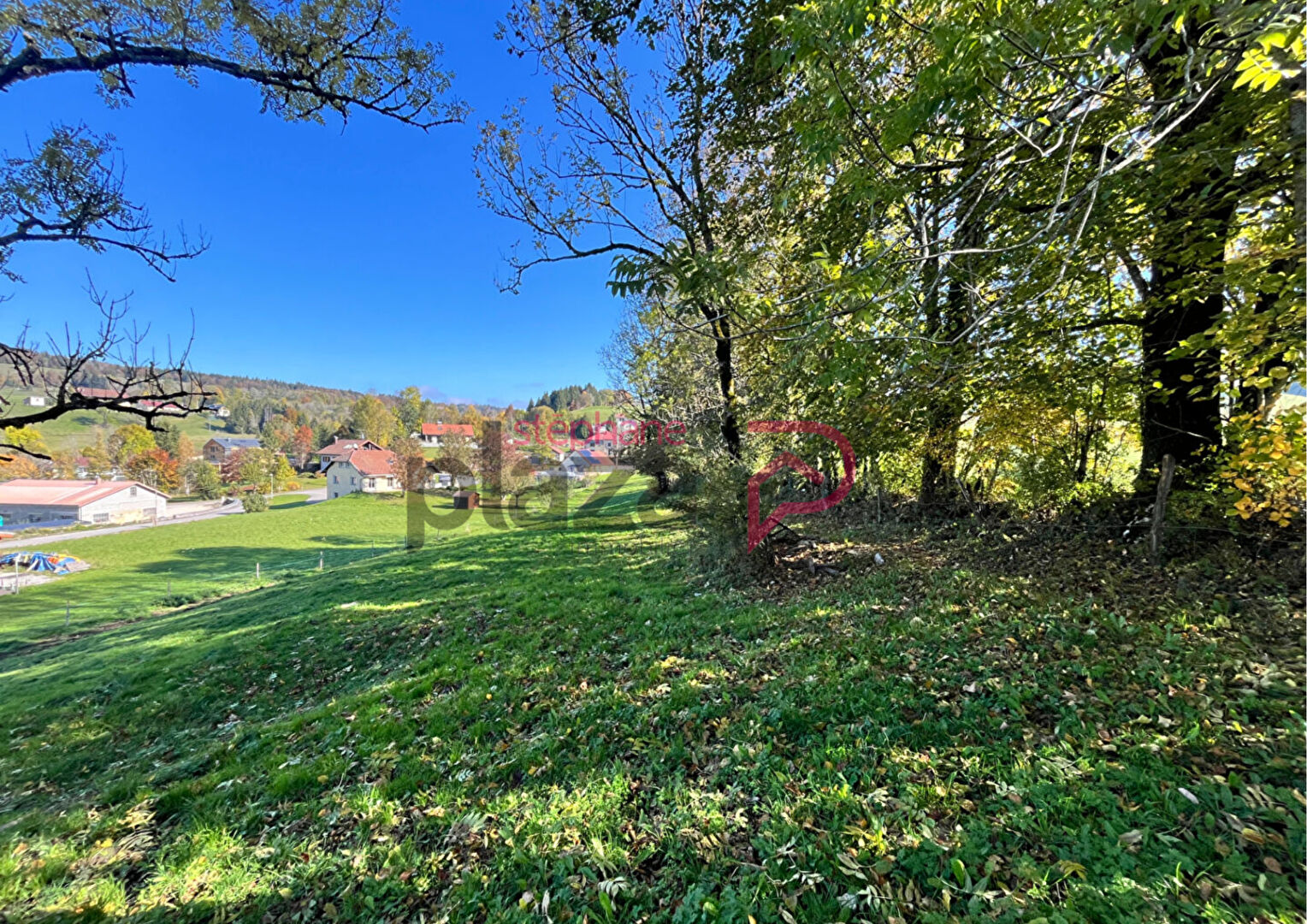 Terrain 4 Foncine Le Haut 572 m2