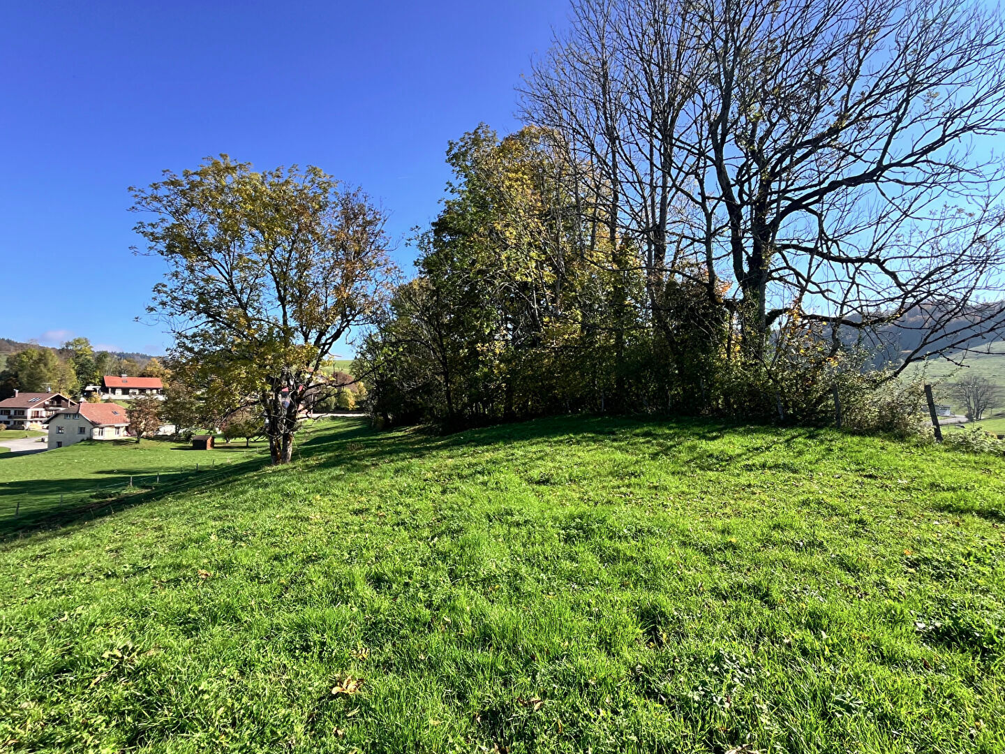 Photo Terrain Lot 6 Foncine Le Haut 768 m2 image 6/6