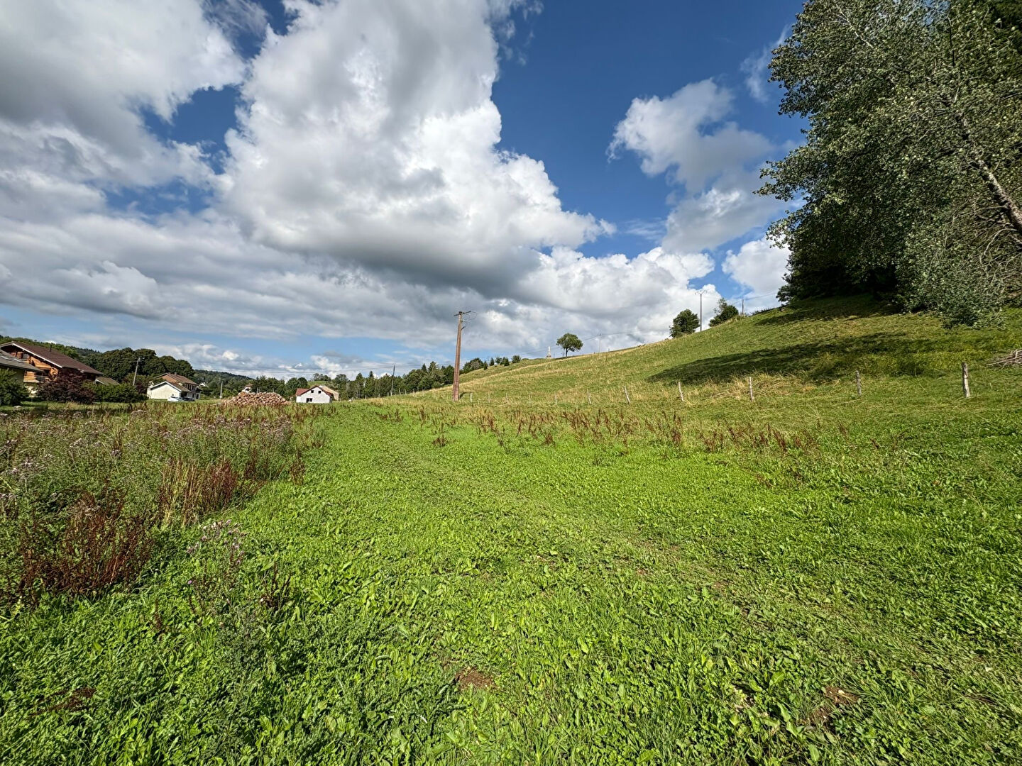 Photo Terrain hors lotissement Foncine Le Haut 1739 m2 image 4/6