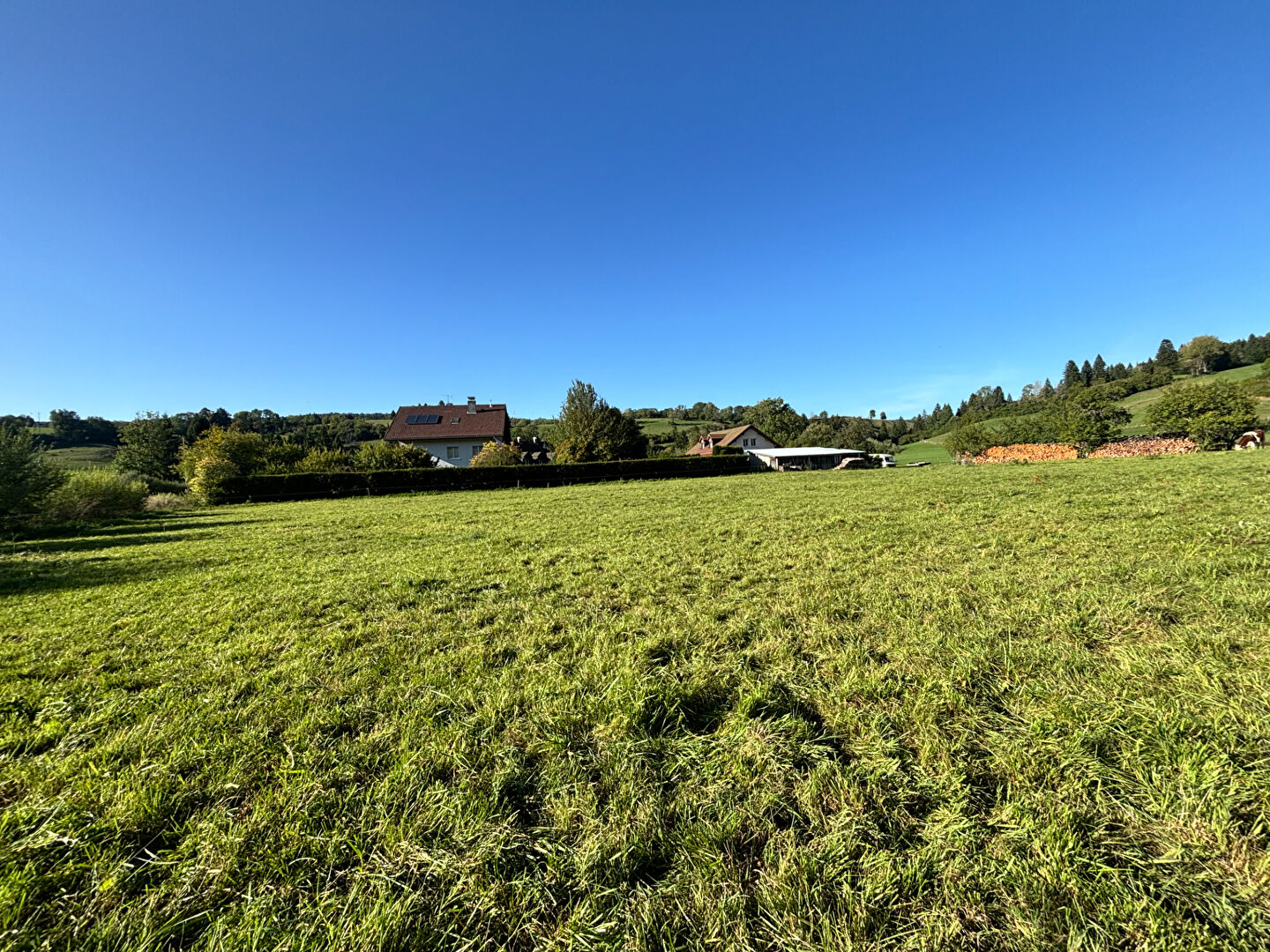 Photo Terrain Foncine Le Haut 2845 m2 image 4/6