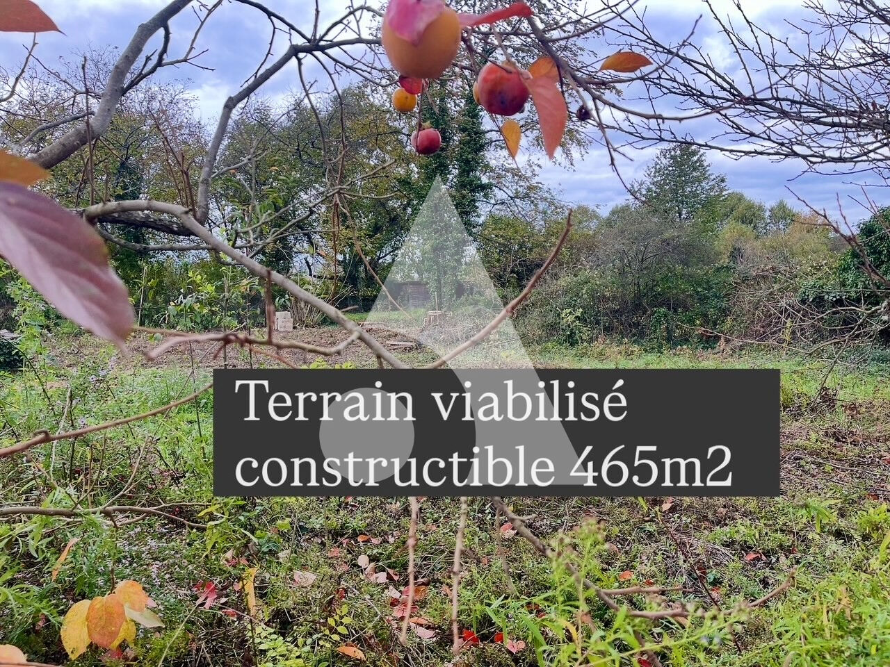 Terrain constructible à Reyrieux 465 m2