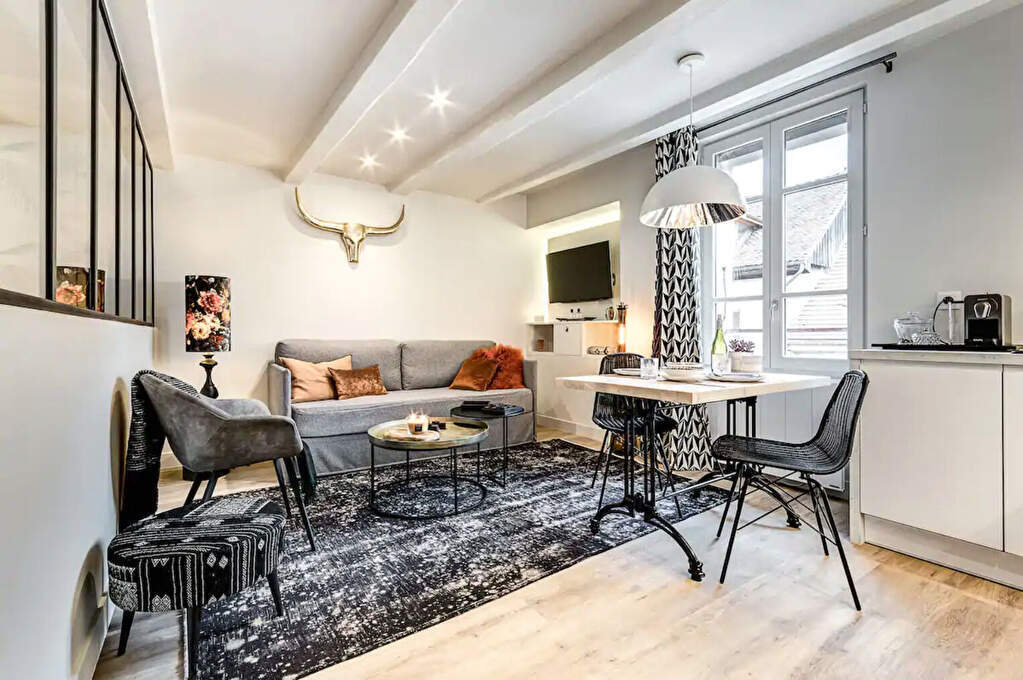 Photo T2 HYPER-CENTRE ANNECY image 3/6