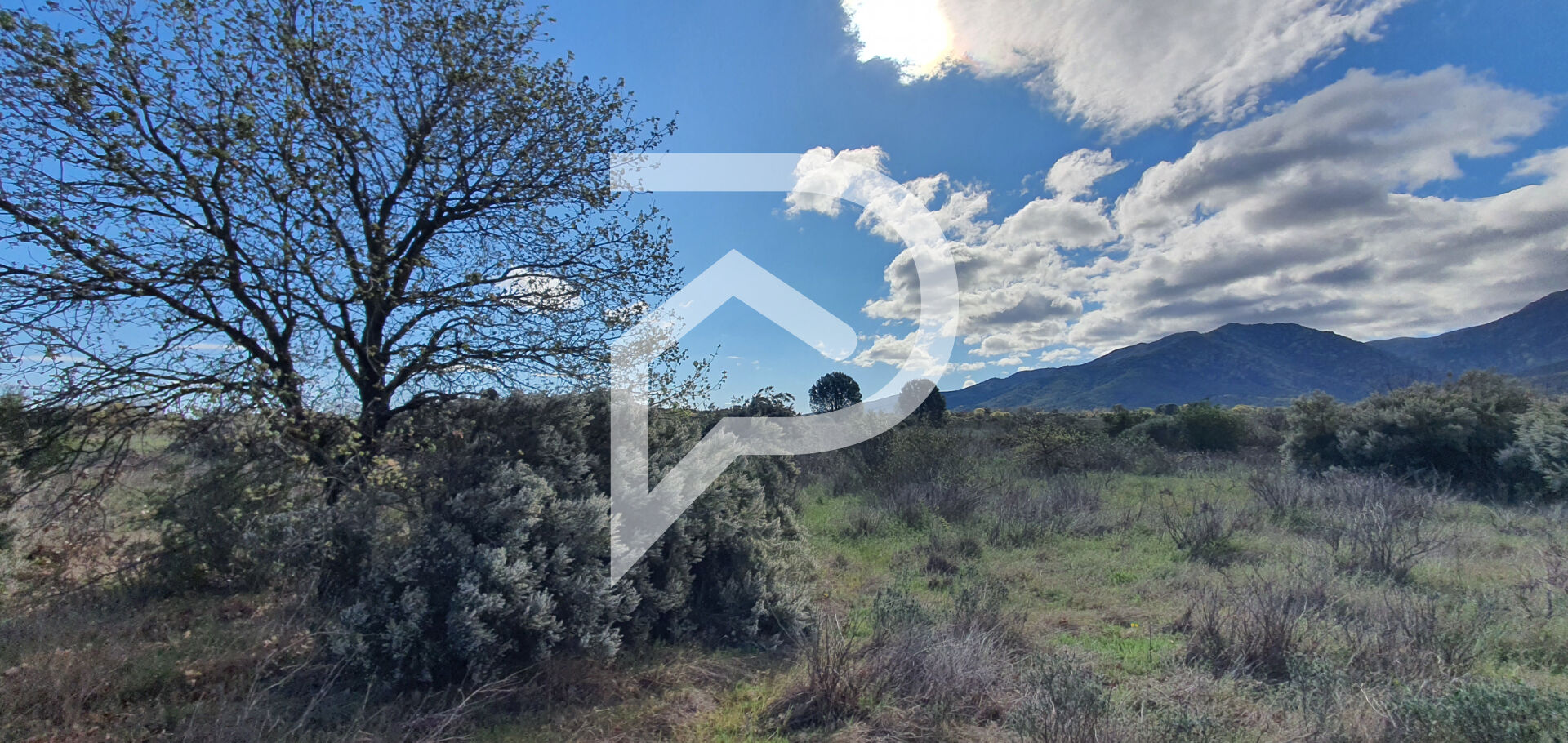 Photo Terrain Agricole de 3 709 m² - St André image 3/3