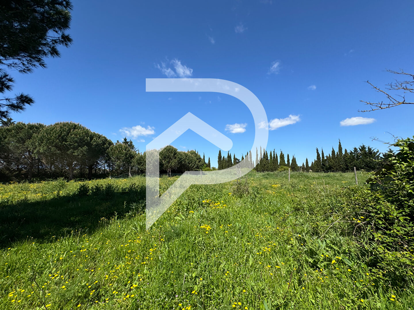 Terrain de loisirs arboré, calme et fonctionnel -  Saint-cyprien
