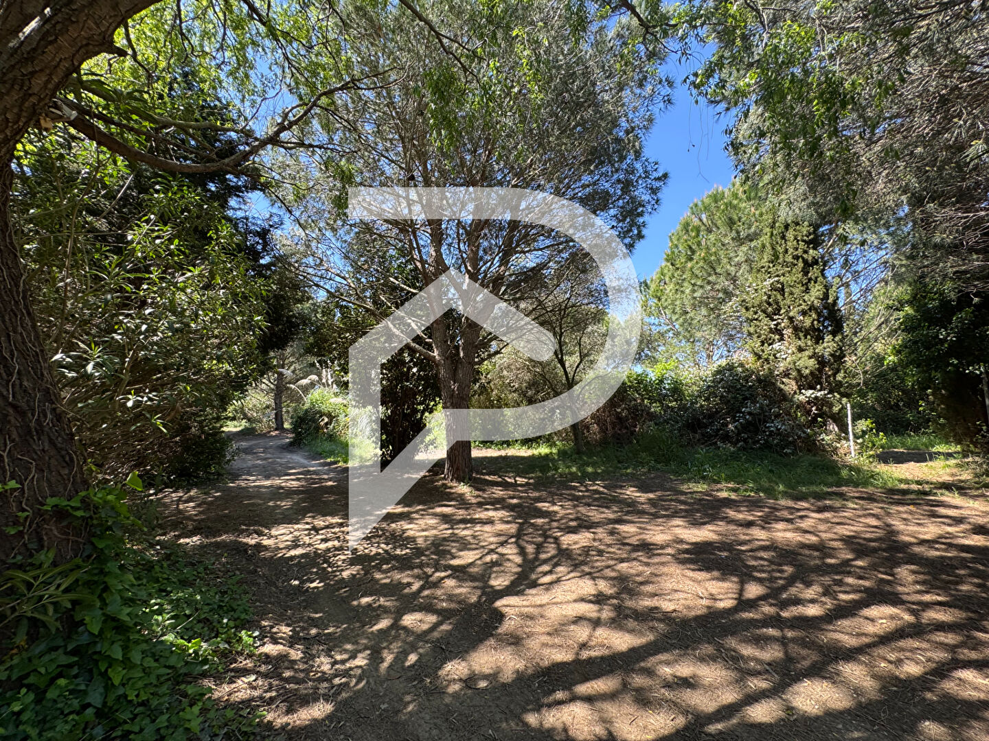 Terrain de loisirs arboré, calme et fonctionnel -  Saint-cyprien