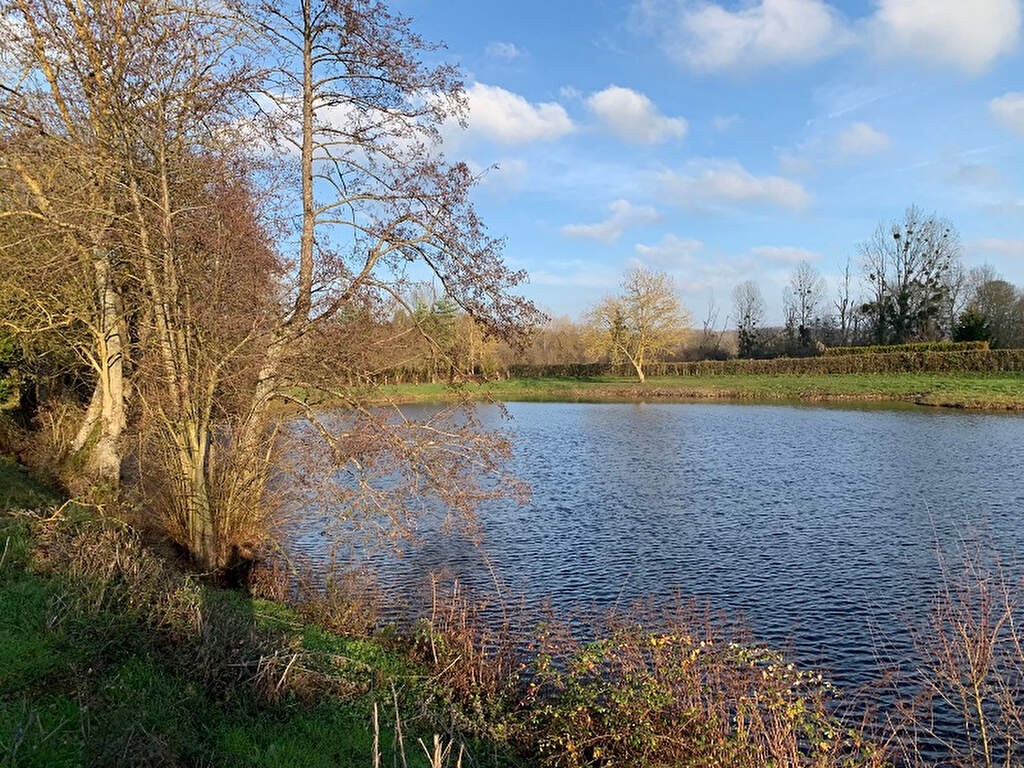 Très joli Étang poissonneux sur une parcelle de plus d'un hectare à 7mn