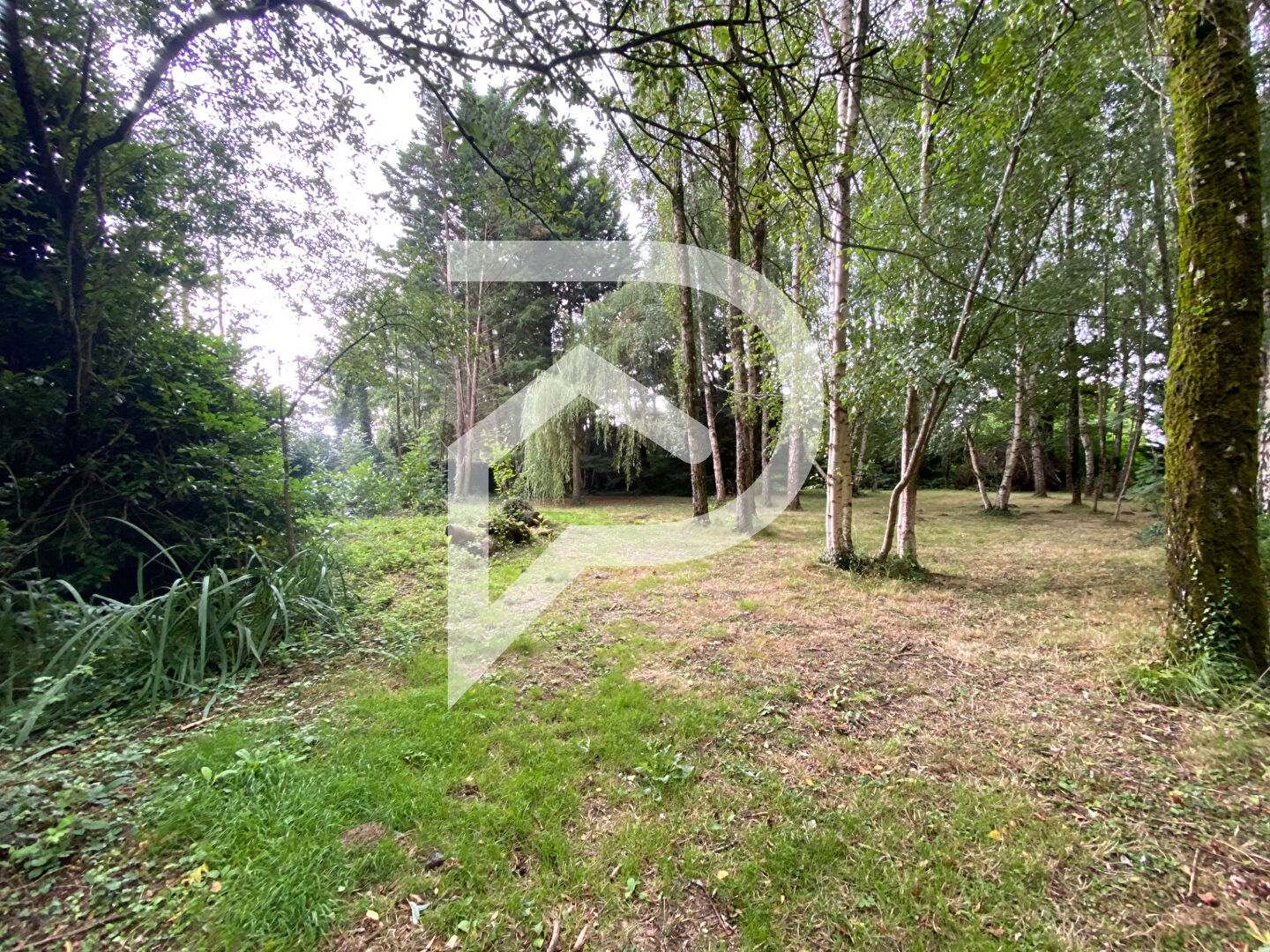 Photo PROPRIETE DE CAMPAGNE image 5/6