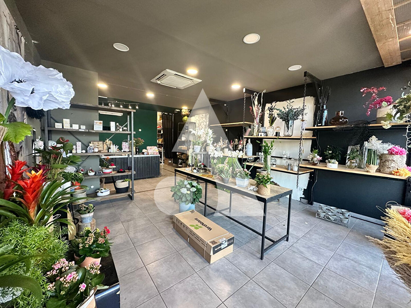 Agence immobilière de Stéphane Plaza Immobilier Cavaillon