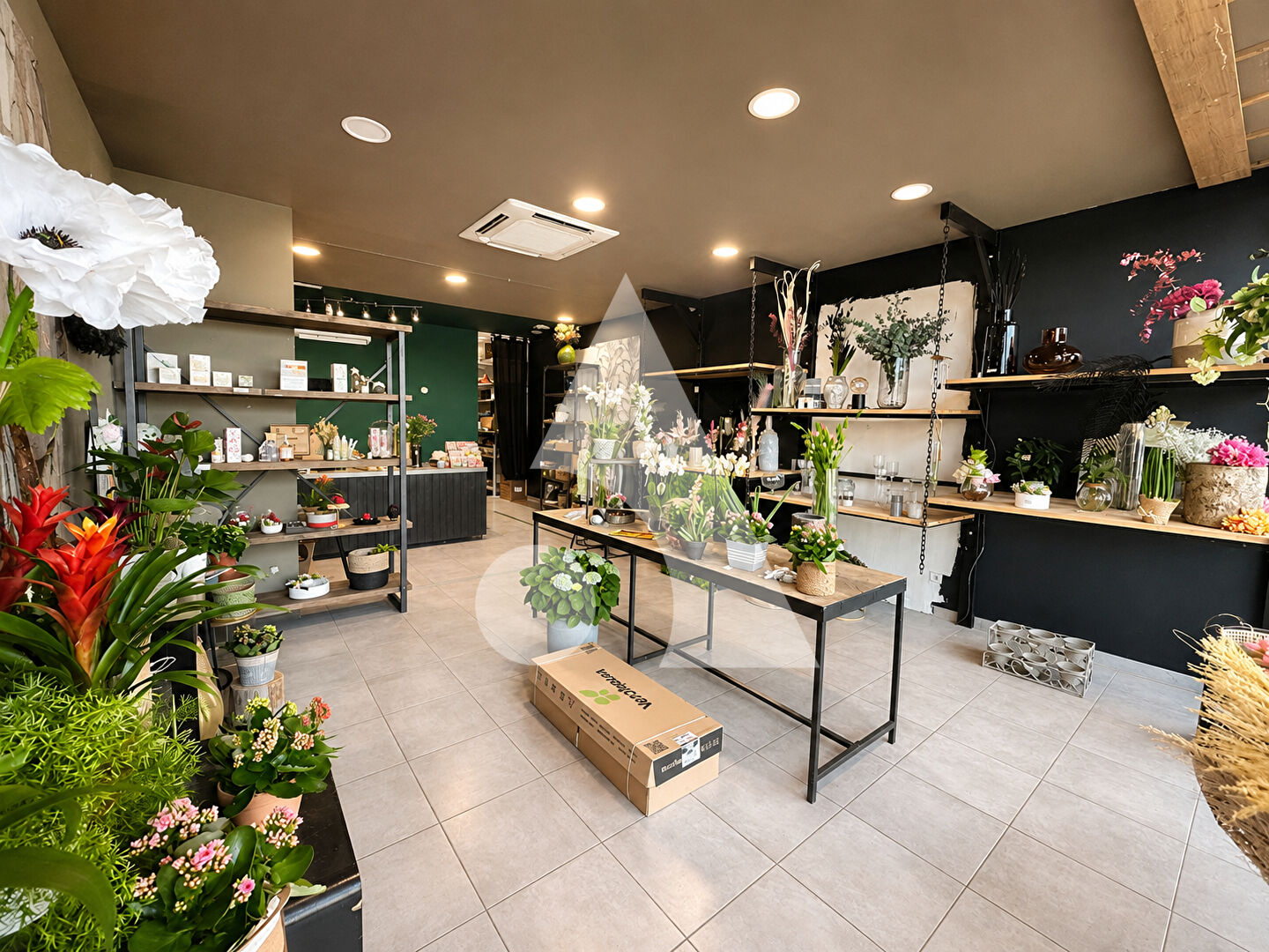 Agence immobilière de Stéphane Plaza Immobilier Cavaillon