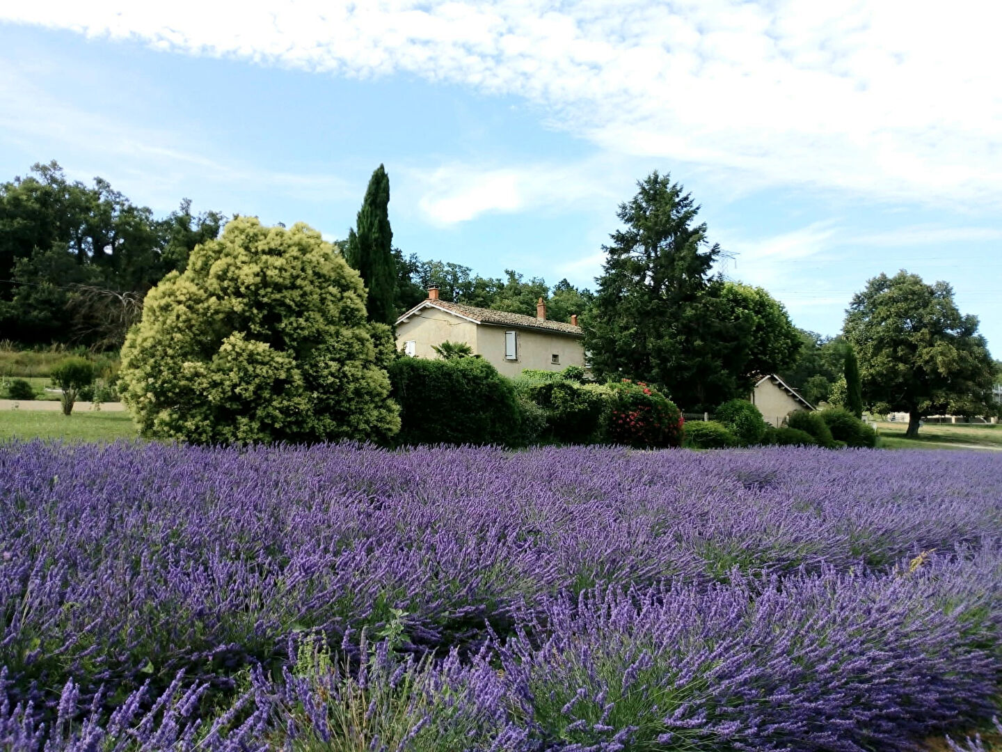 MAISON STYLE  PROVENCALE 167M²  PROCHE GARE TGV AVEC 2 STUDIOS  SUR  12700m²  26320  ST MARCEL LES VALENCE