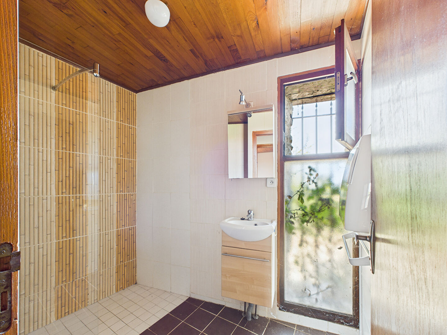 Photo VIAGER LIBRE - H/F 71 ans - SAINT BARTHELEMY LE PLAIN image 5/6