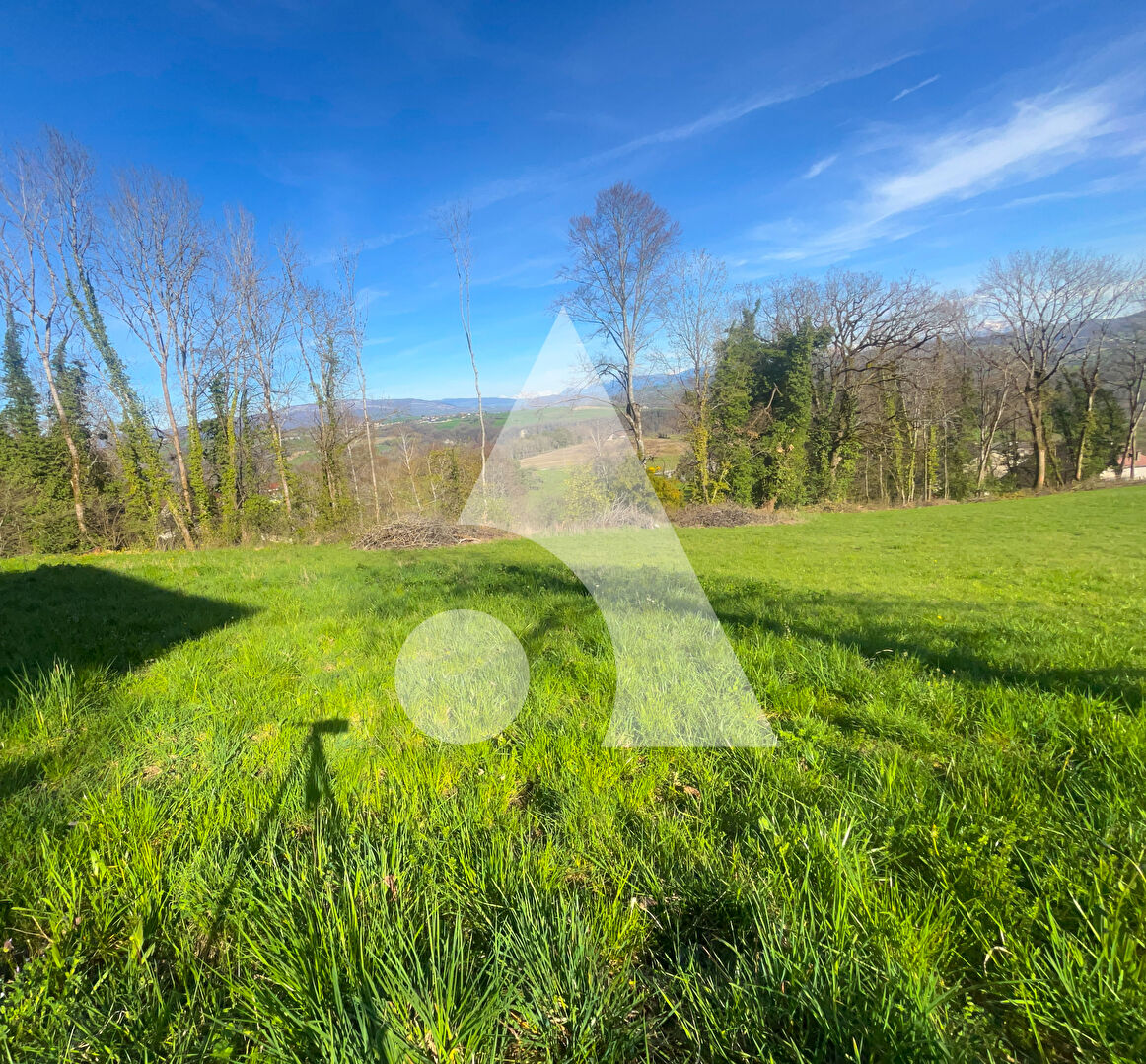 Terrain constructible avec vue Mont Blanc à vendre à Chanay (01420)