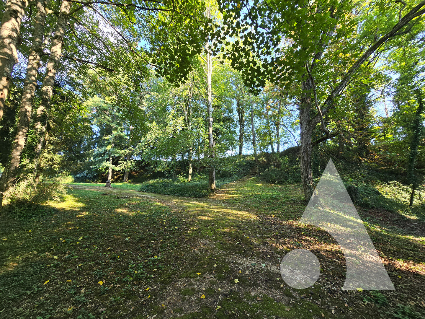 Photo Maison avec 1 hectare de terrain image 3/6