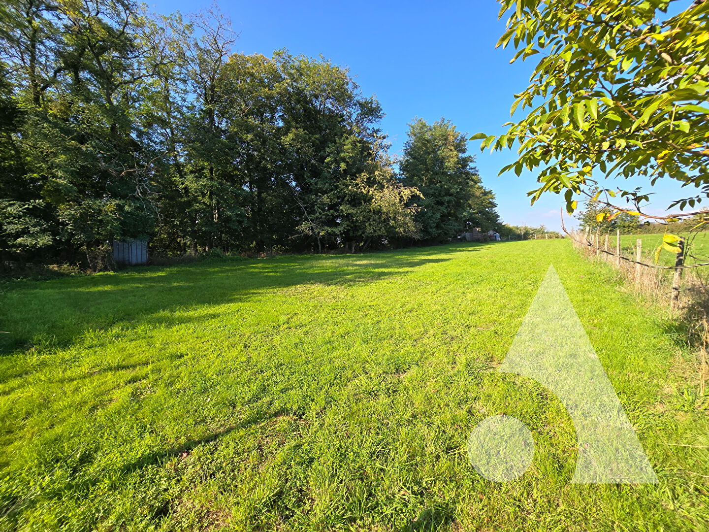 Photo Maison avec 1 hectare de terrain image 4/6