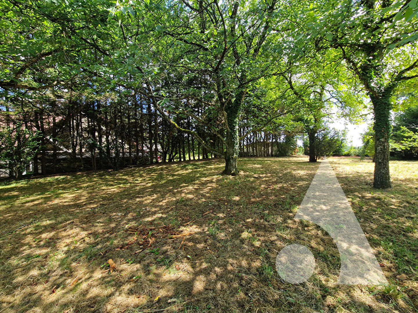 Photo Maison Authume 6 pièce(s) 137 m2 image 4/6