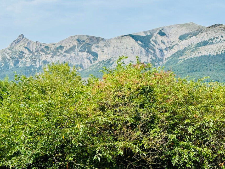 
Maison Saint Bonnet En Champsaur 3 pièce(s) !
