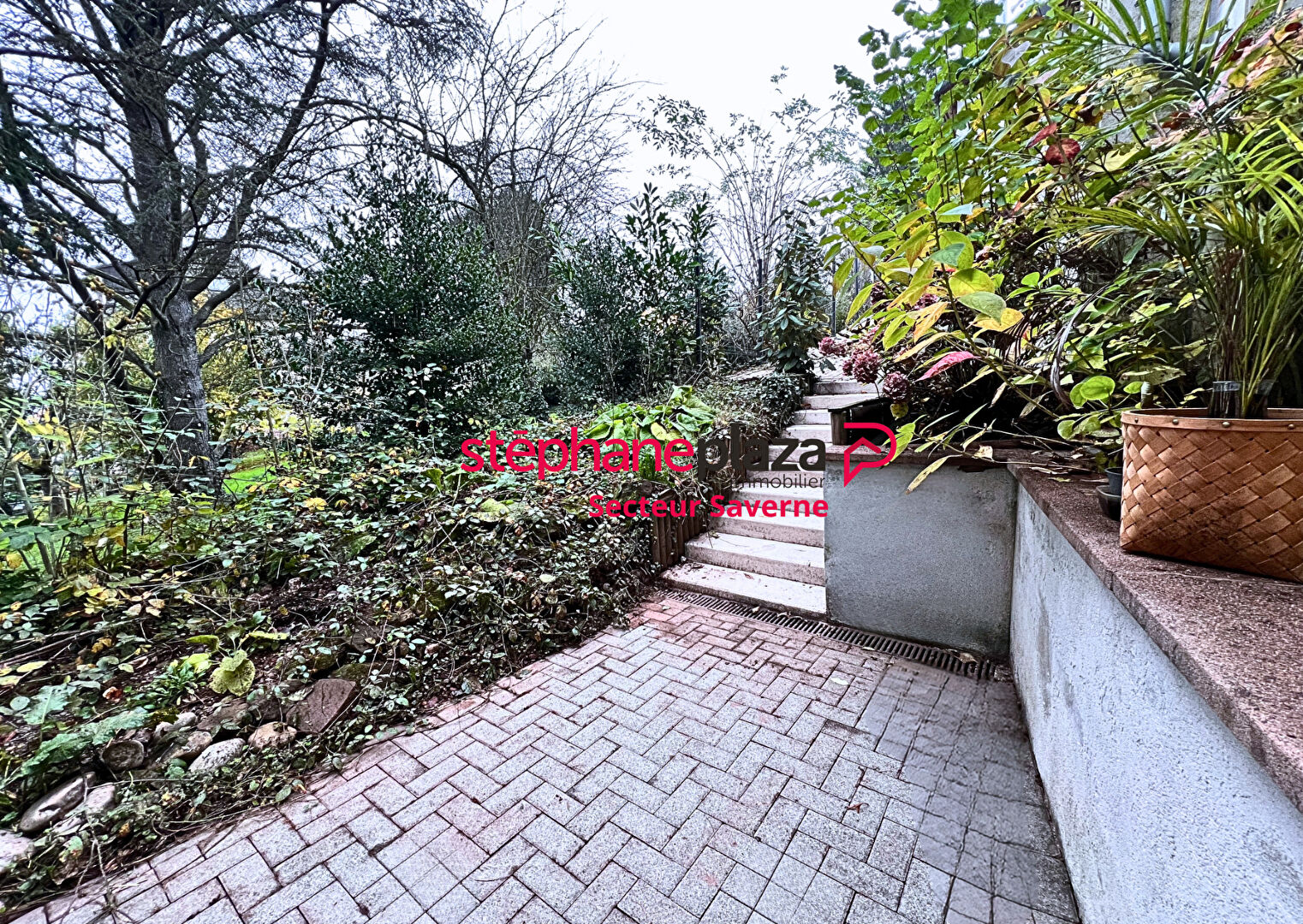 Photo Saverne Haut-Barr - Maison avec terrasse et jardin image 3/6