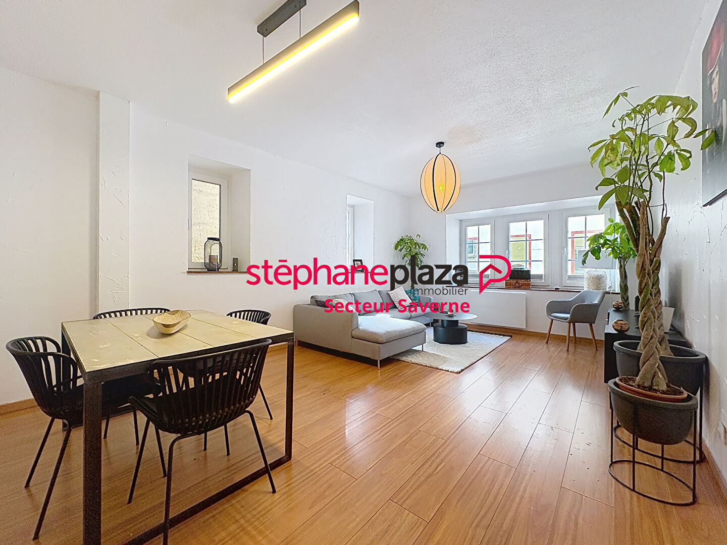 Agence immobilière de Stéphane Plaza Immobilier Saverne