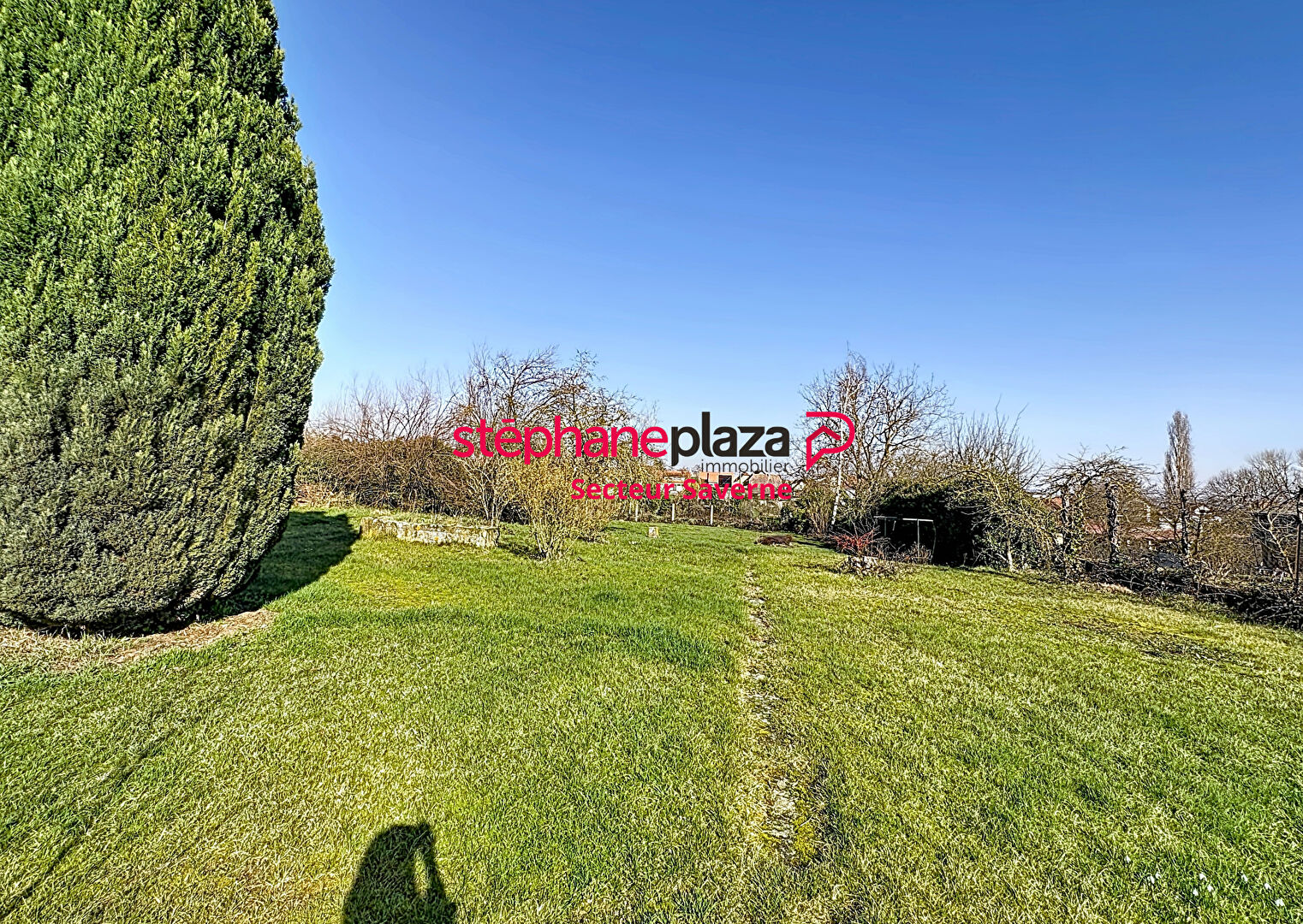 Agence immobilière de Stéphane Plaza Immobilier Saverne