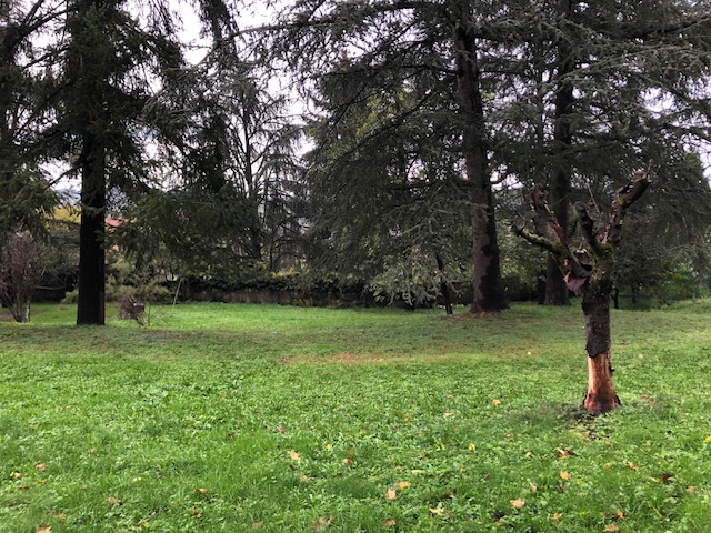 Photo Terrain Rive De Gier 1943 m2 image 2/3