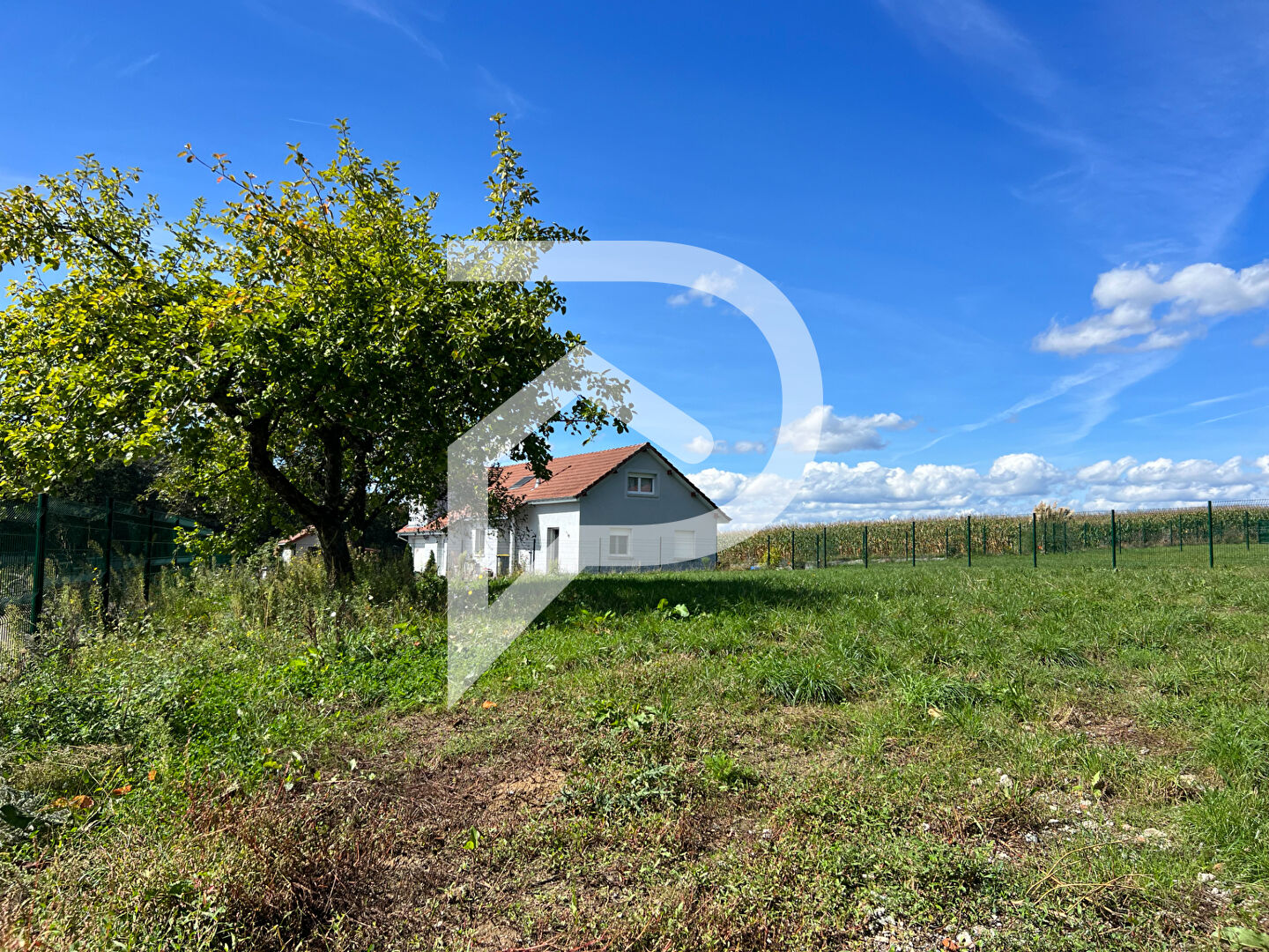 Agence immobilière de Stéphane Plaza Immobilier Delle