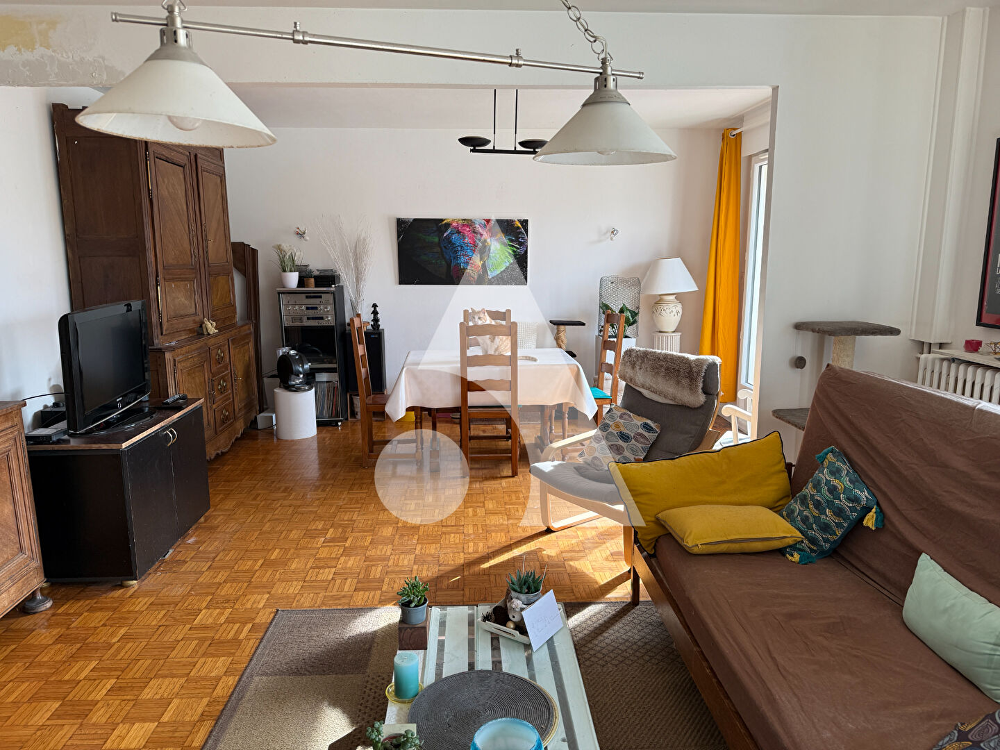 Agence immobilière de Stéphane Plaza Immobilier Delle