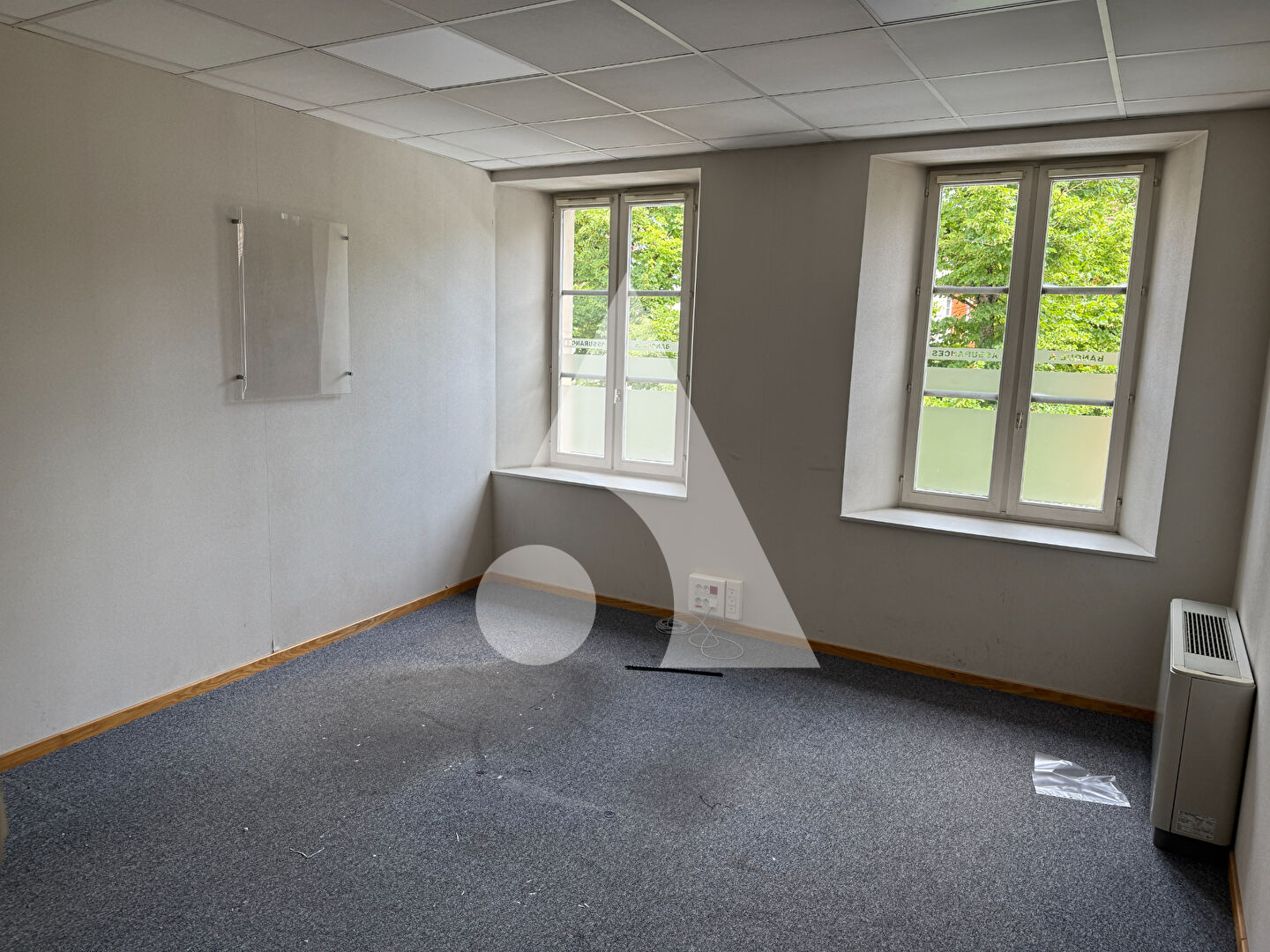 Photo Immeuble Delle 15 pièce(s) 356 m2 image 3/6