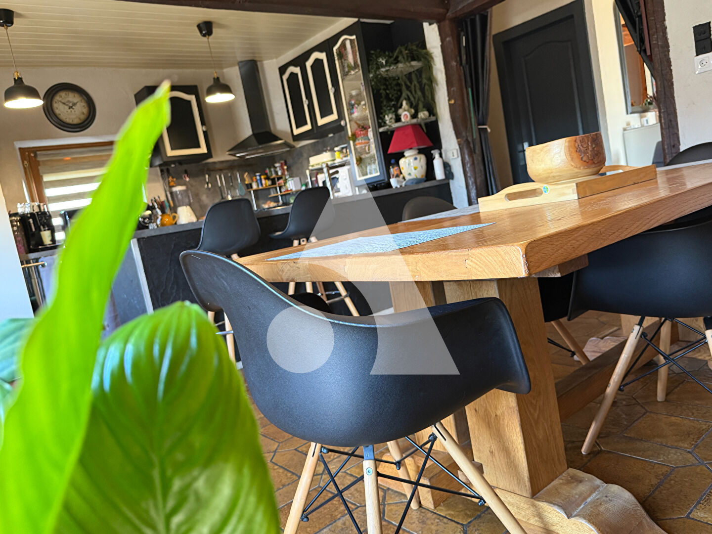 Agence immobilière de Stéphane Plaza Immobilier Delle