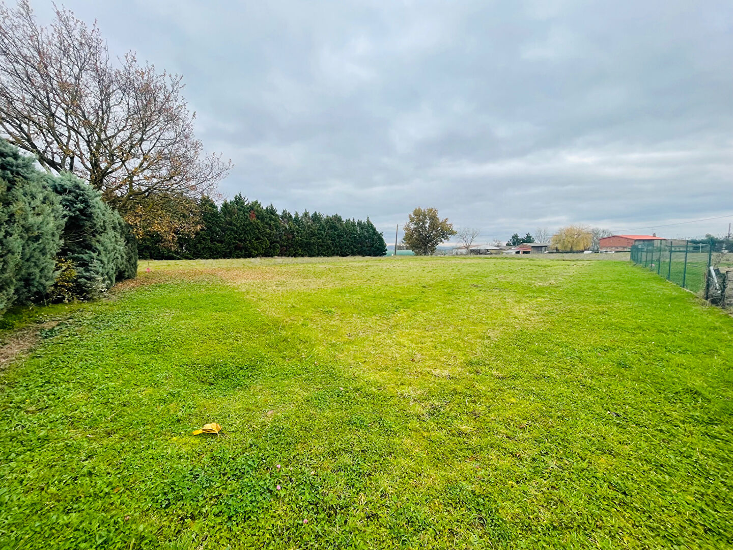 Agence immobilière de Stéphane Plaza Immobilier Balma