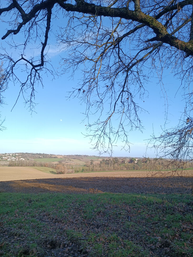 Agence immobilière de Stéphane Plaza Immobilier Balma