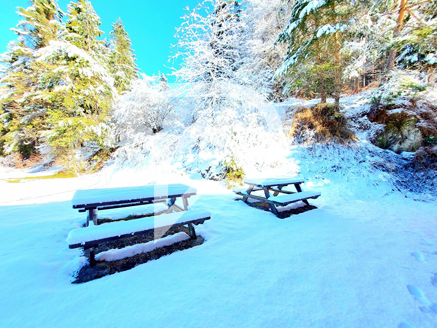 Photo CHALET de 328 m² AVEC VUE image 3/6