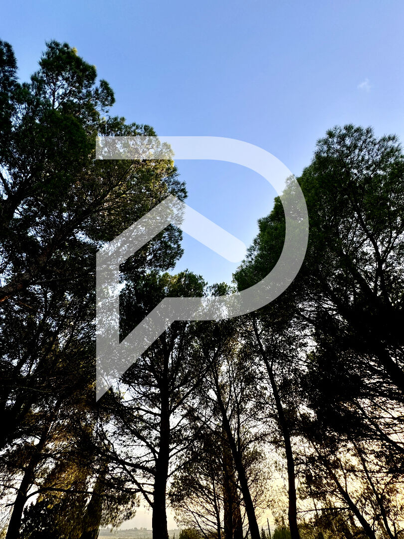 Photo Villa de plain pied 200 m2 - 8000m2 de terrain avec une partie constructible image 2/6