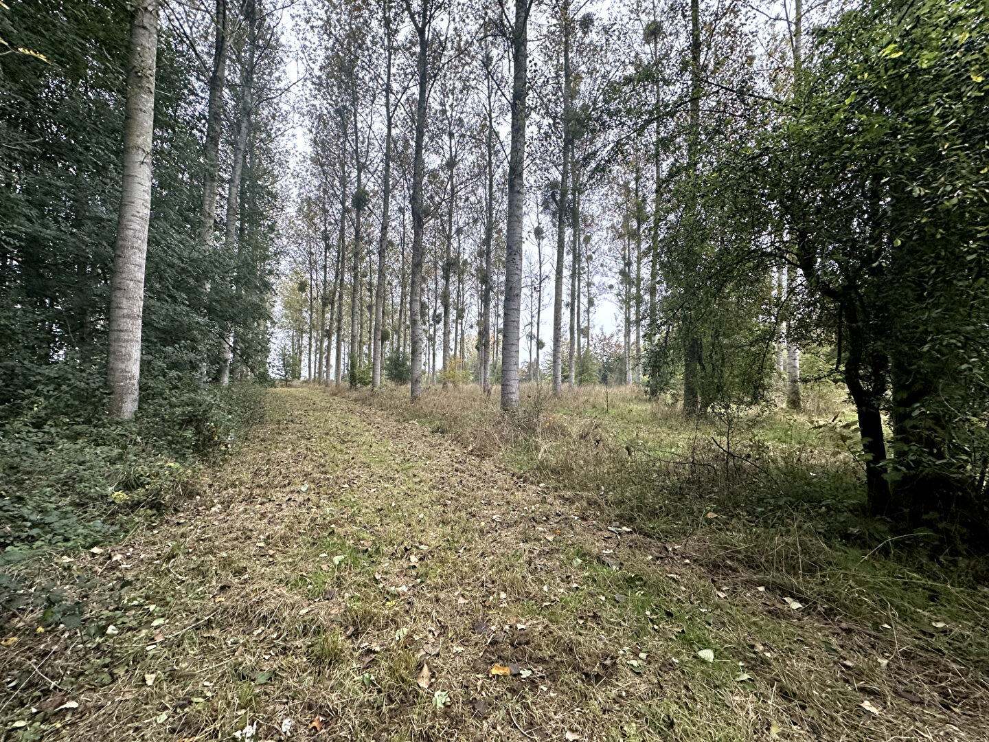 Photo Terrain10 Hectars image 1/6