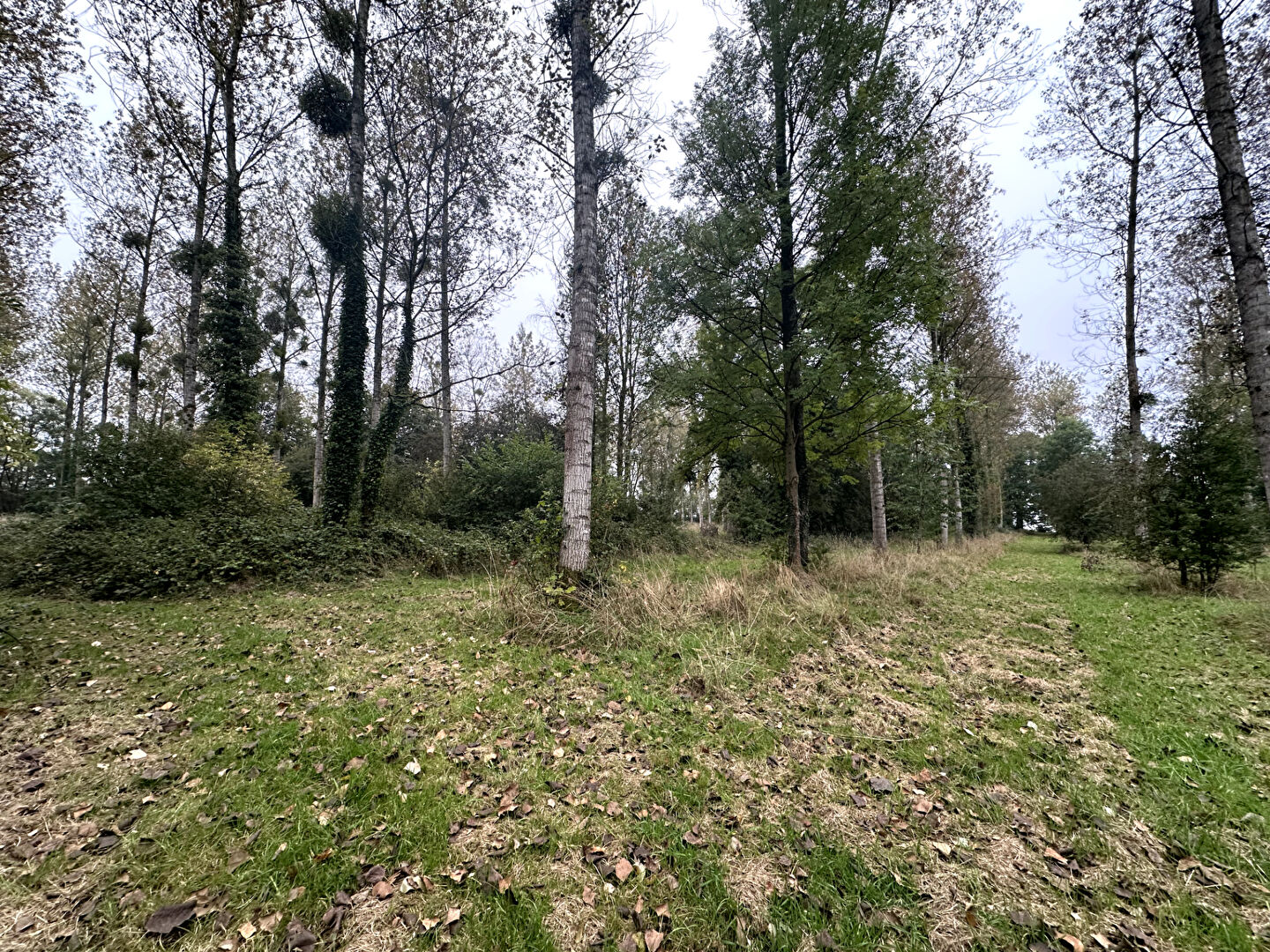 Photo Terrain10 Hectars image 4/6