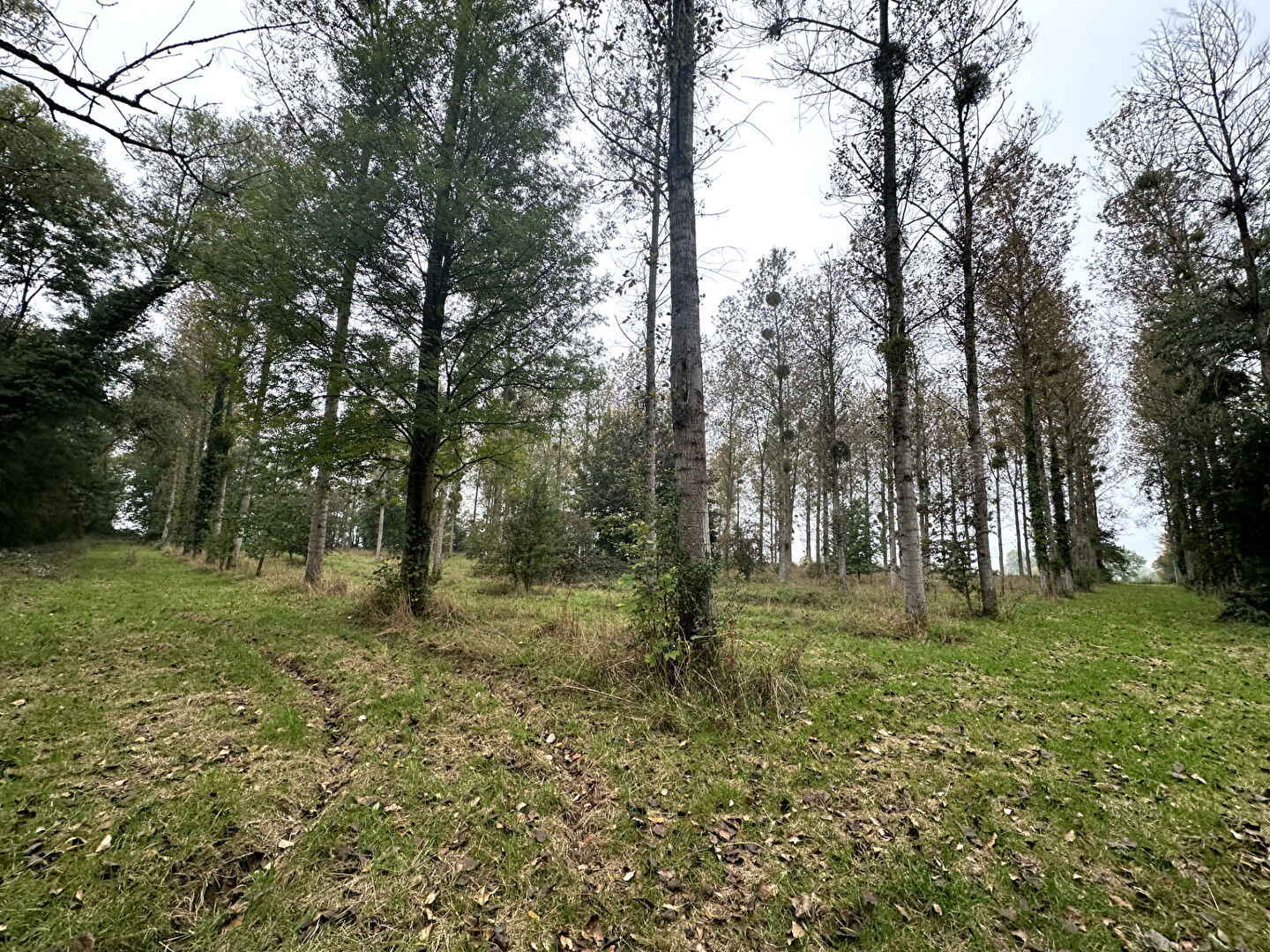 Photo Terrain10 Hectars image 5/6