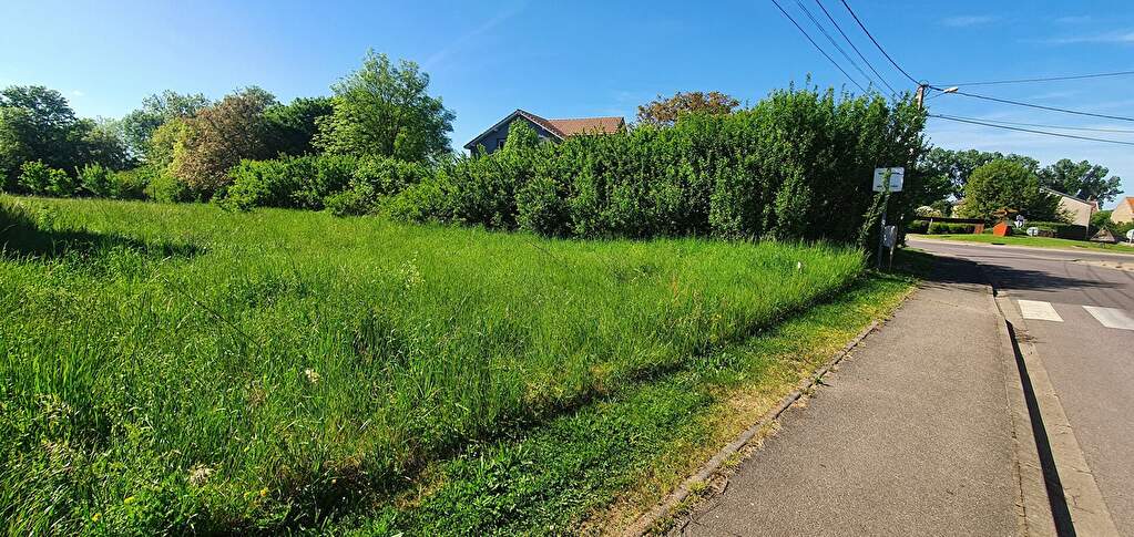 Photo Terrain Han Sur Nied 565 m2 image 4/5