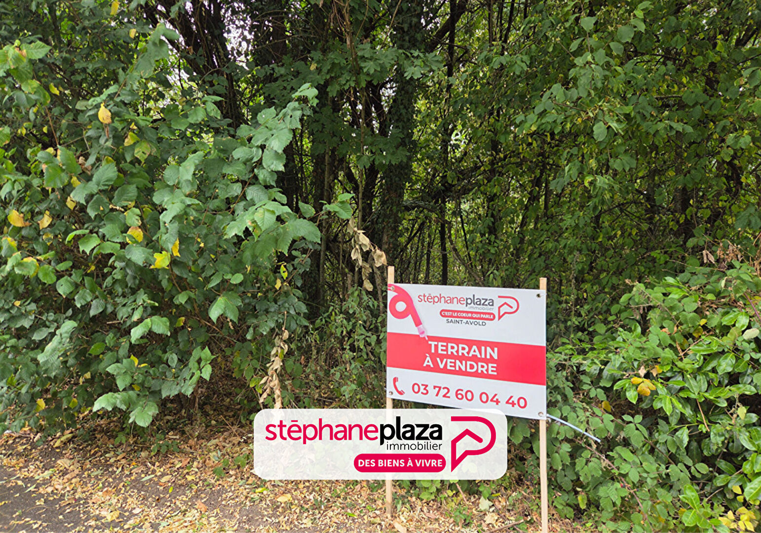Agence immobilière de Stéphane Plaza Immobilier Saint Avold