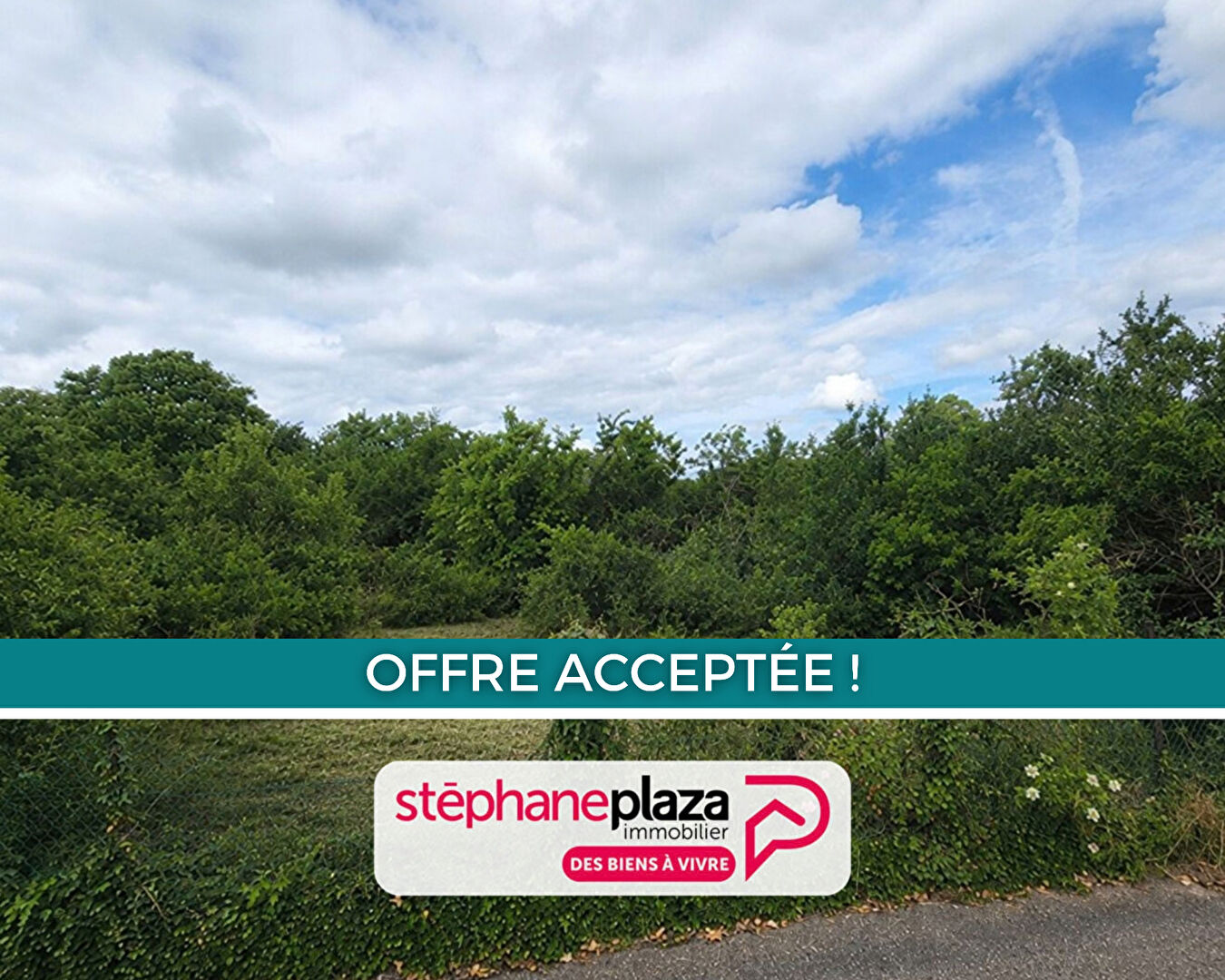 Agence immobilière de Stéphane Plaza Immobilier Saint Avold