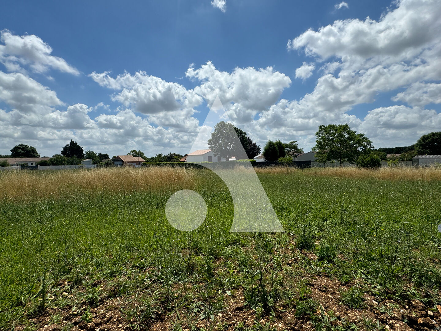 Agence immobilière de Stéphane Plaza Immobilier Niort