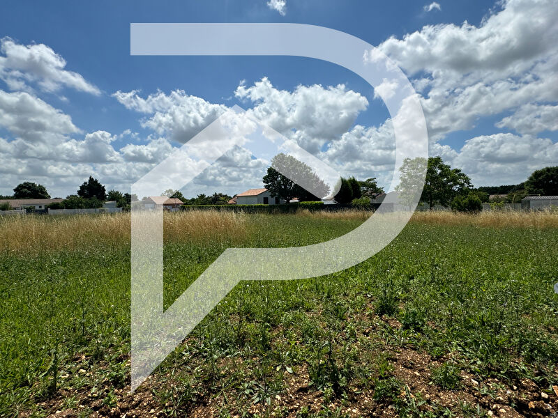 Agence immobilière de Stéphane Plaza Immobilier Niort