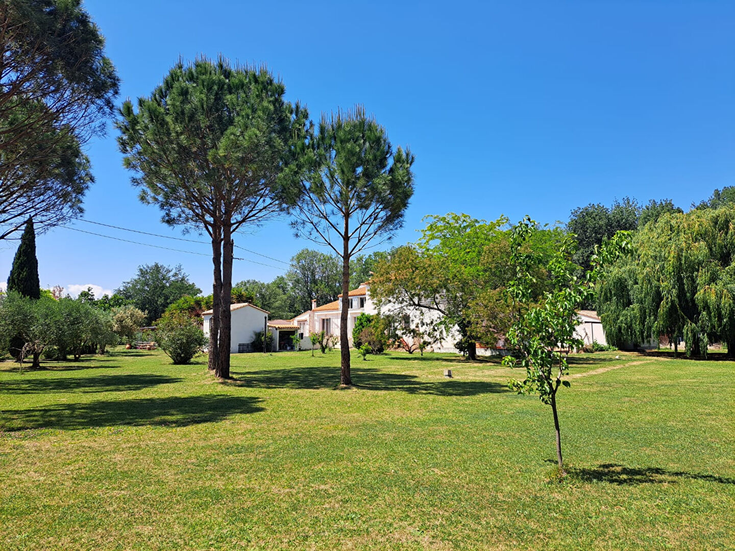 Agence immobilière de Stéphane Plaza Immobilier Thuir - Stéphane Plaza Immobilier Thuir