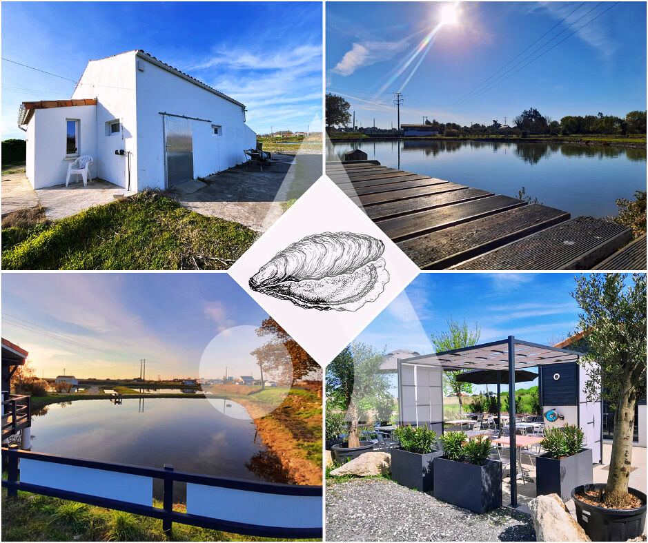 Agence immobilière de Stéphane Plaza Immobilier La Tremblade