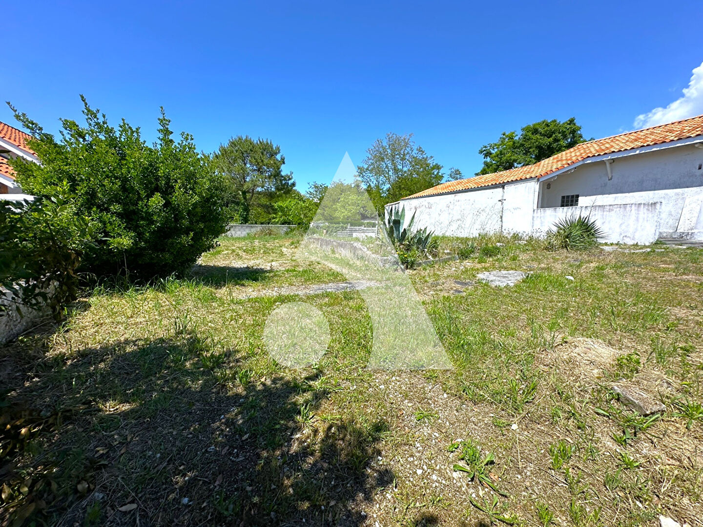 Agence immobilière de Stéphane Plaza Immobilier La Tremblade