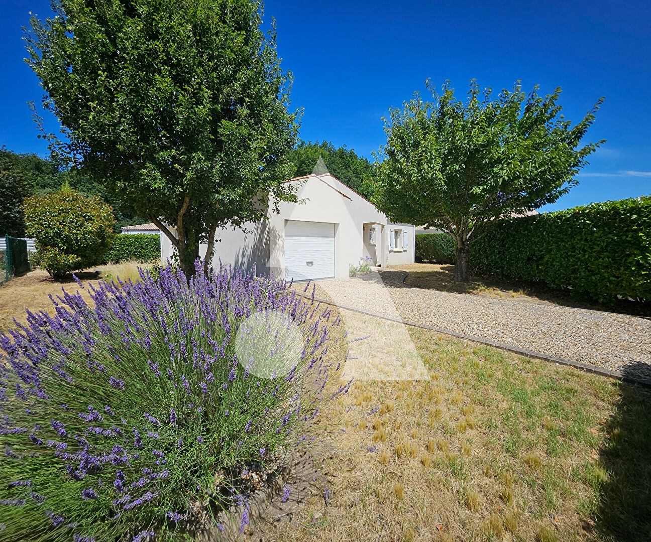 Agence immobilière de Stéphane Plaza Immobilier La Tremblade