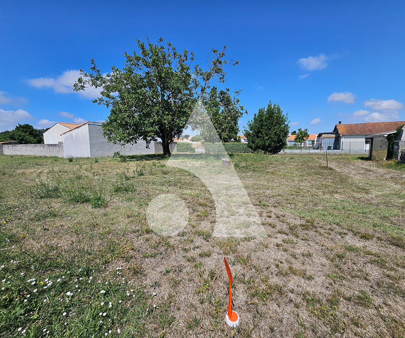 Agence immobilière de Stéphane Plaza Immobilier La Tremblade