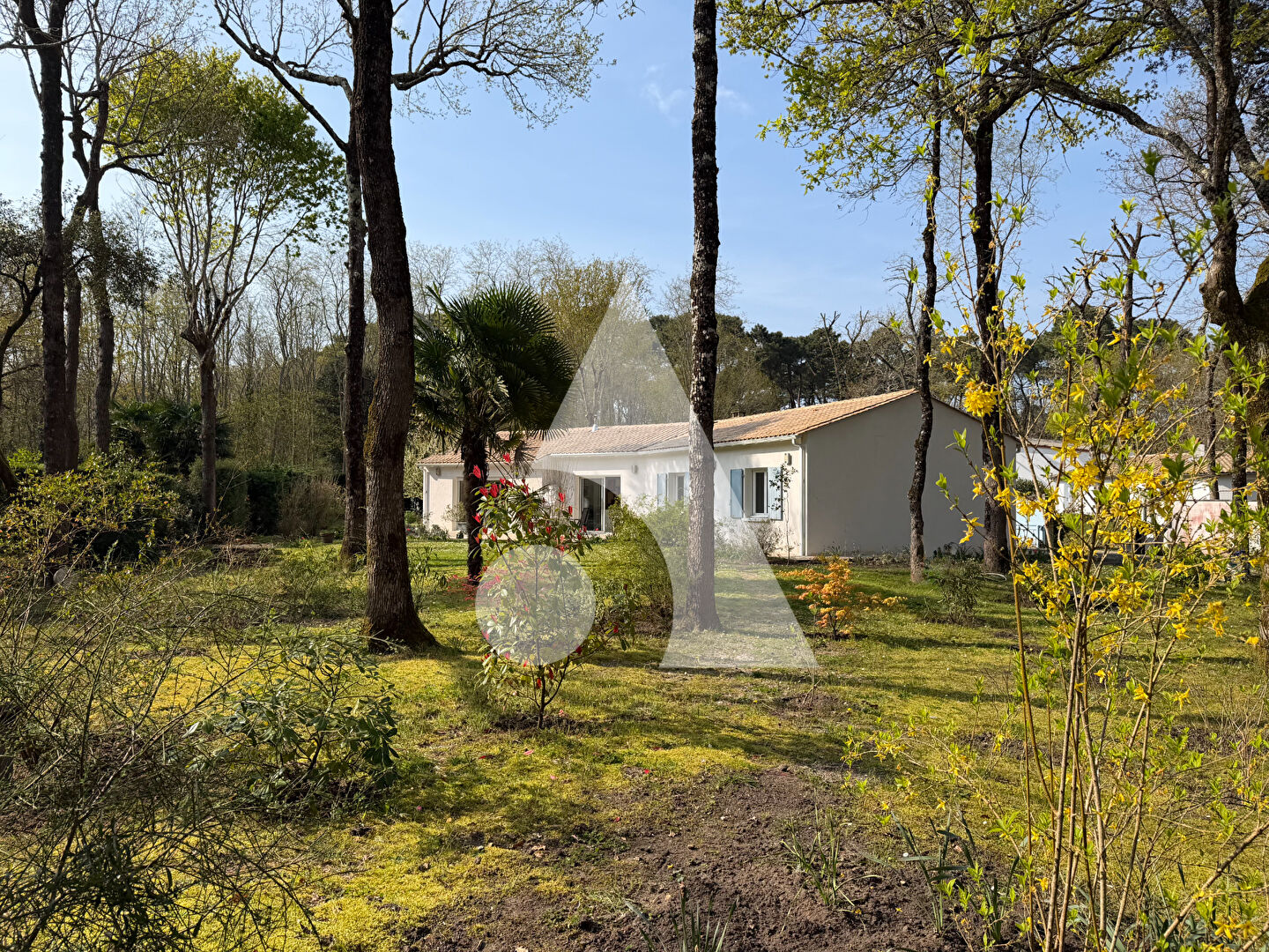 Agence immobilière de Stéphane Plaza Immobilier La Tremblade