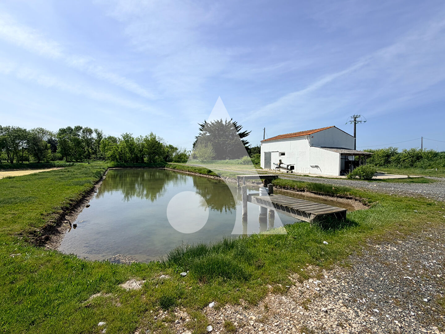 Agence immobilière de Stéphane Plaza Immobilier La Tremblade