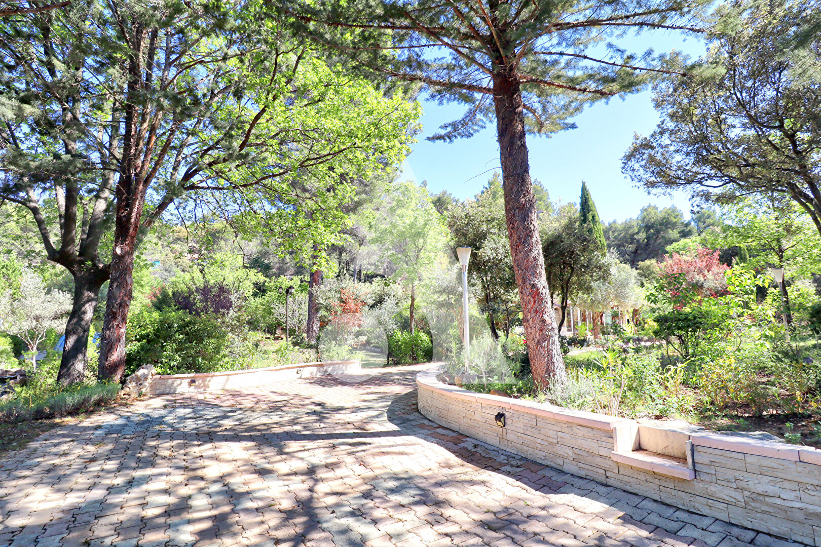 Photo VILLA AU CALME SANS VIS A VIS AVEC PISCINE AU COEUR DE SON PARC ARBORE AVEC FORAGE ET EAU DE VILLE image 4/6