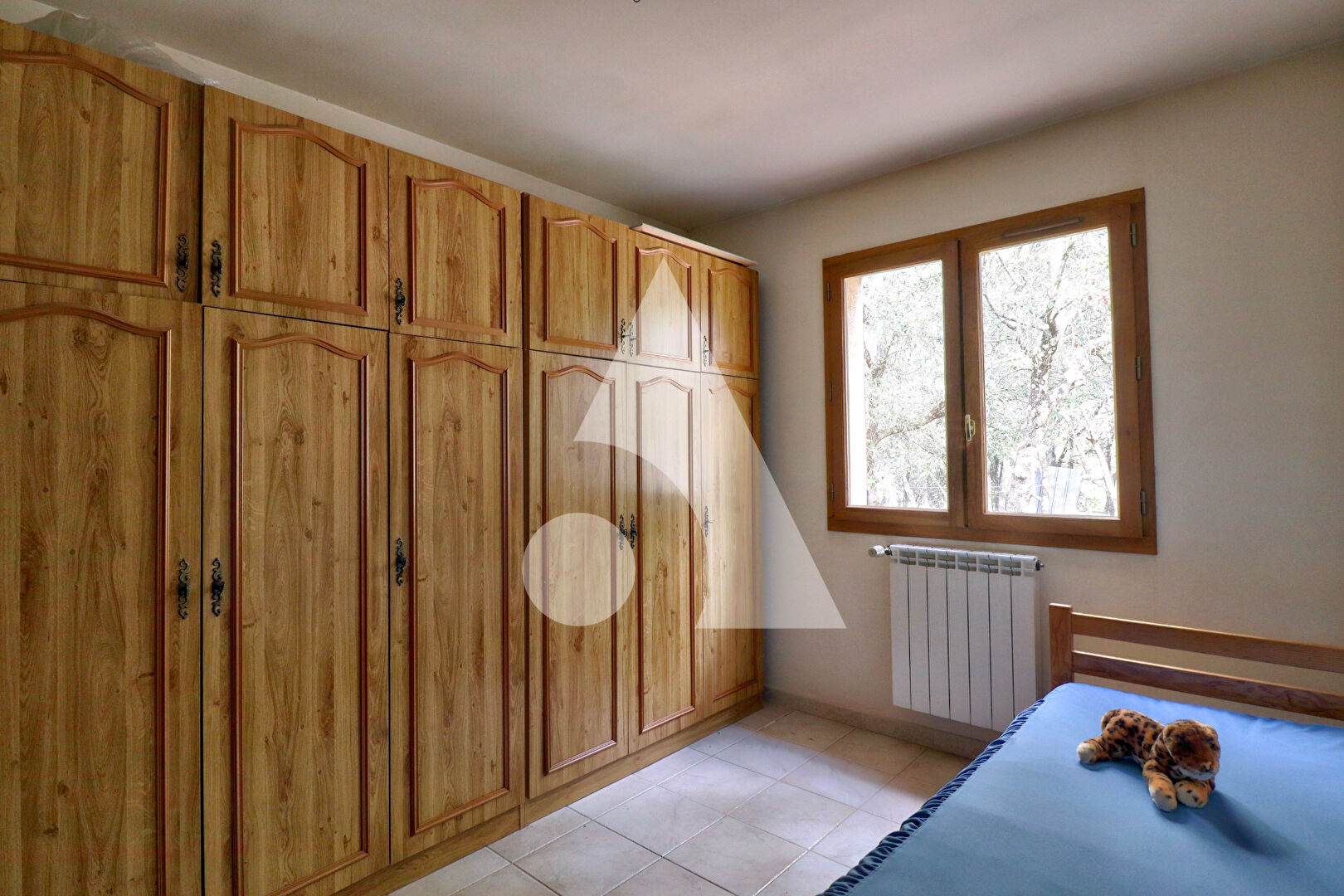 Photo VILLA DE PLAIN-PIED AVEC TERRAIN DE 4554M2 ET GARAGE image 3/6