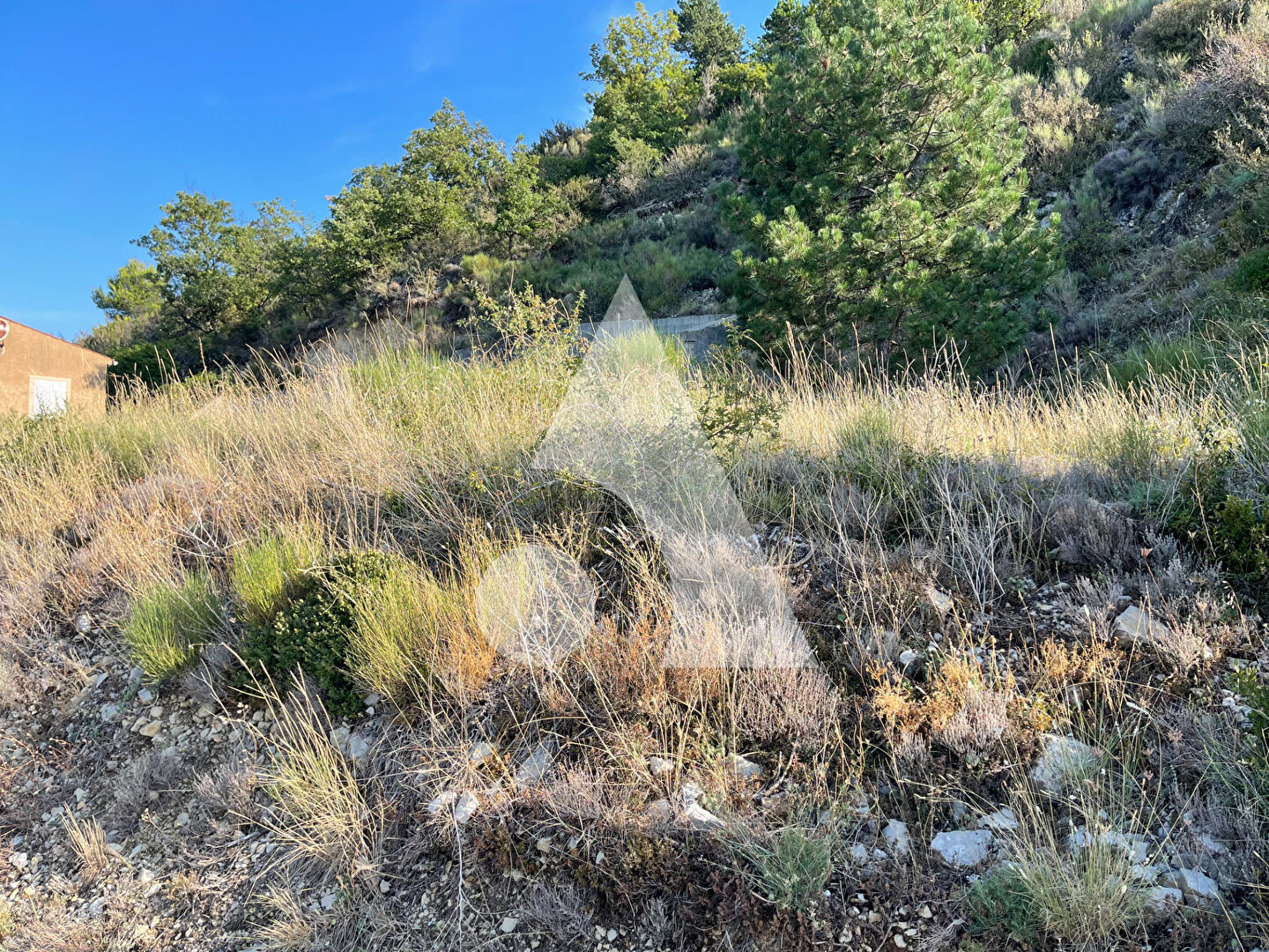 Photo TRÈS BEAU TERRAIN DE 2985M2 CONSTRUCTIBLE À SAINT JURS - SUPERBE VUE image 5/6